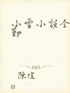 小雪小说全部章节封面
