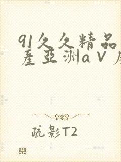 91久久精品国产亚洲a∨麻豆封面