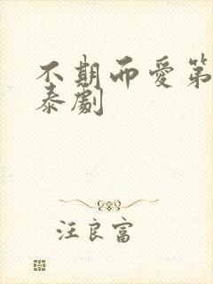 不期而爱第二季泰剧