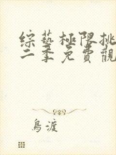 综艺极限挑战第二季免费观看