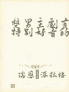 双男主剧有哪些特别好看的封面