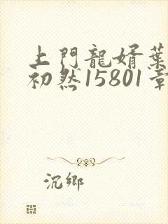 上门龙婿叶辰萧初然15801章