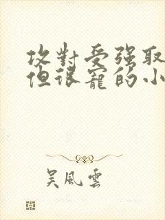 攻对受强取豪夺但很宠的小说