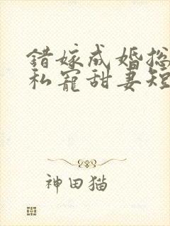 错嫁成婚总裁的私宠甜妻短剧