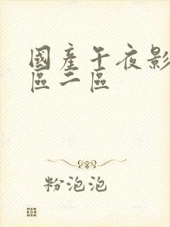 国产午夜影院一区二区