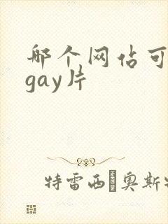 哪个网站可以看gay片
