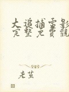 大追捕电影在线完整免费观看