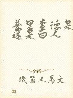 普里查德是黑人还是白人