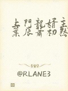 上门龙婿主人公叶辰萧初然封面