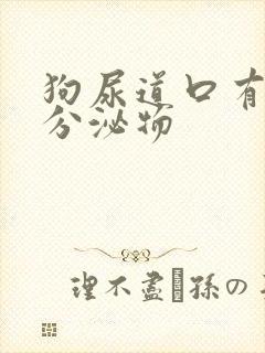 狗尿道口有黄色分泌物