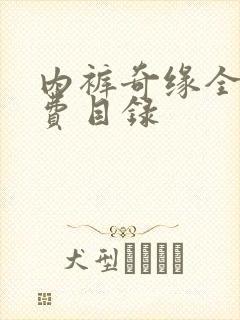 内裤奇缘全文免费目录封面