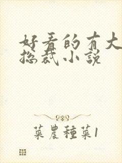 好看的有大船的总裁小说封面