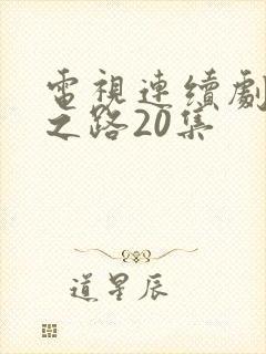 电视连续剧人生之路20集