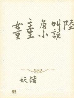 女主角叫陆晚的重生小说