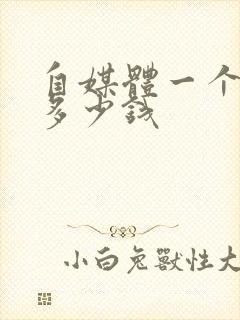 自媒体一个月赚多少钱封面