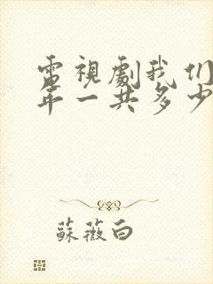 电视剧我们这十年一共多少集