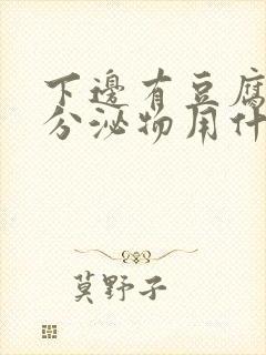 下边有豆腐渣的分泌物用什么药