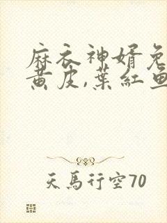 麻衣神婿免费陈黄皮,叶红鱼