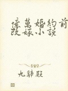 亿万婚约前妻别改嫁小说