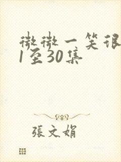 微微一笑很倾城1至30集封面