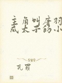 主角叫唐羽穿越成太子的小说免费阅读封面