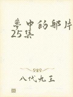 梦中的那片海第25集