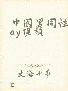 中国男同性恋gay视频