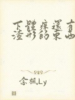 下体痒还有豆腐渣形的东西