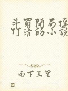 斗罗开局俘获朱竹清的小说