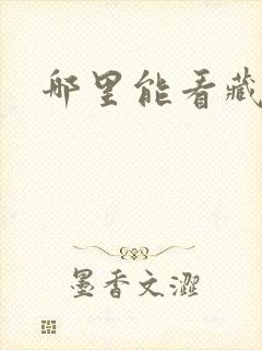 哪里能看藏海传