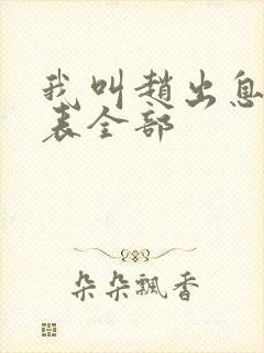 我叫赵出息演员表全部封面