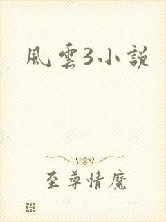风云3小说
