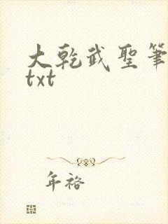 大乾武圣笔趣阁txt