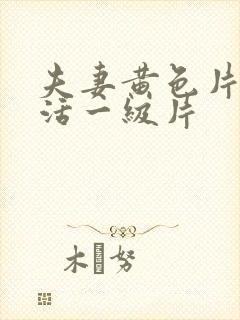 夫妻黄色片性生活一级片