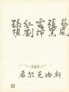 孙红雷张艺兴电视剧扫黑风暴