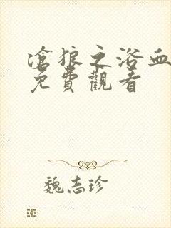 沧狼之浴血绝杀免费观看