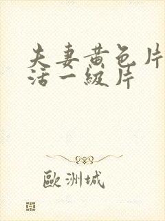 夫妻黄色片性生活一级片