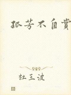 孤芳不自赏小说