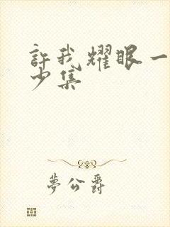 许我耀眼一共多少集封面