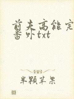 前夫高能完整版番外txt封面