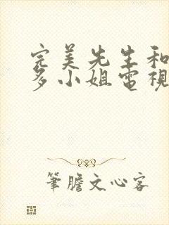 完美先生和差不多小姐电视剧在线免费观看封面