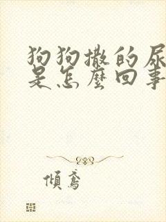 狗狗撒的尿很黄是怎么回事