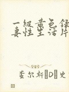 一级黄色录像夫妻性生活片封面