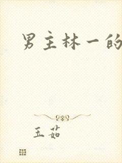 男主林一的短剧