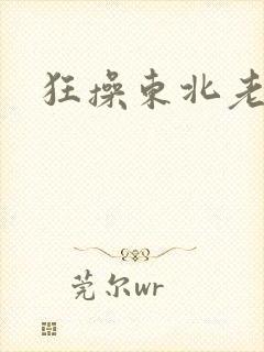 狂操东北老女人封面