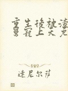 重生后被渣男舅舅宠上天免费观看完整版封面