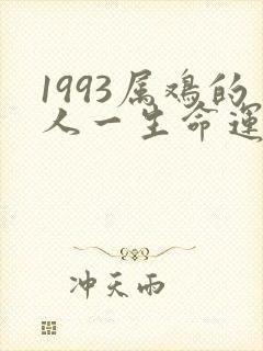1993属鸡的人一生命运如何