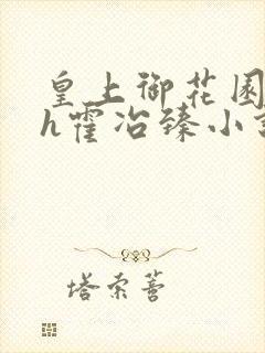 皇上御花园hlh霍冶臻小说