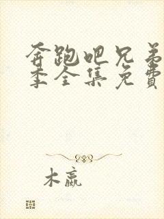 奔跑吧兄弟第九季全集免费完整版封面