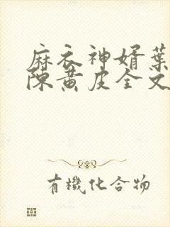 麻衣神婿叶红鱼陈黄皮全文阅读